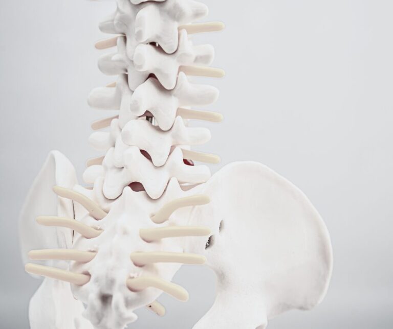 Chiropractic Adjustments: A Natural Solution for Sciatica Relief